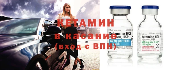 индика Богородицк