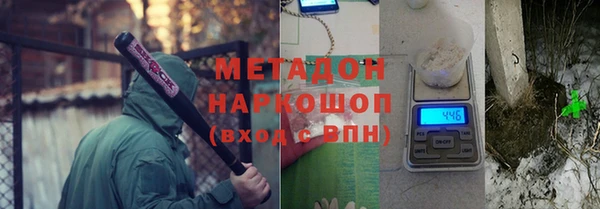 индика Богородицк