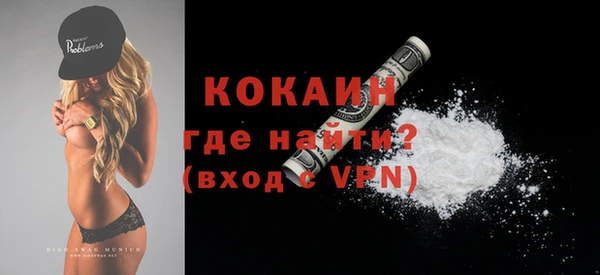 индика Богородицк