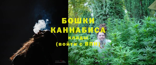 индика Богородицк