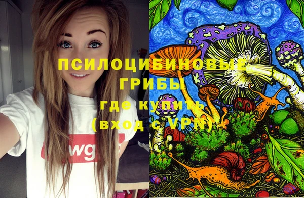 таблы Богданович