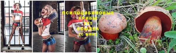 прущий лед Белоозёрский